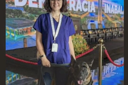 Morre veterinária atacada por cachorro no canil do Senado Federal