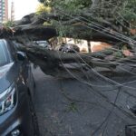 Respostas à crise climática exigem inovação, defende setor elétrico 