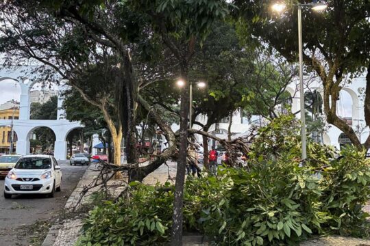 Ventania: moradores do Rio acordam sob alerta; saiba o que fazer