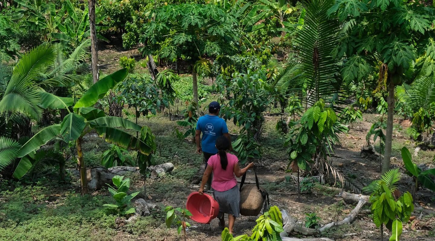 Da Amazônia ao Chaco, América Latina tem desafios com clima e terra