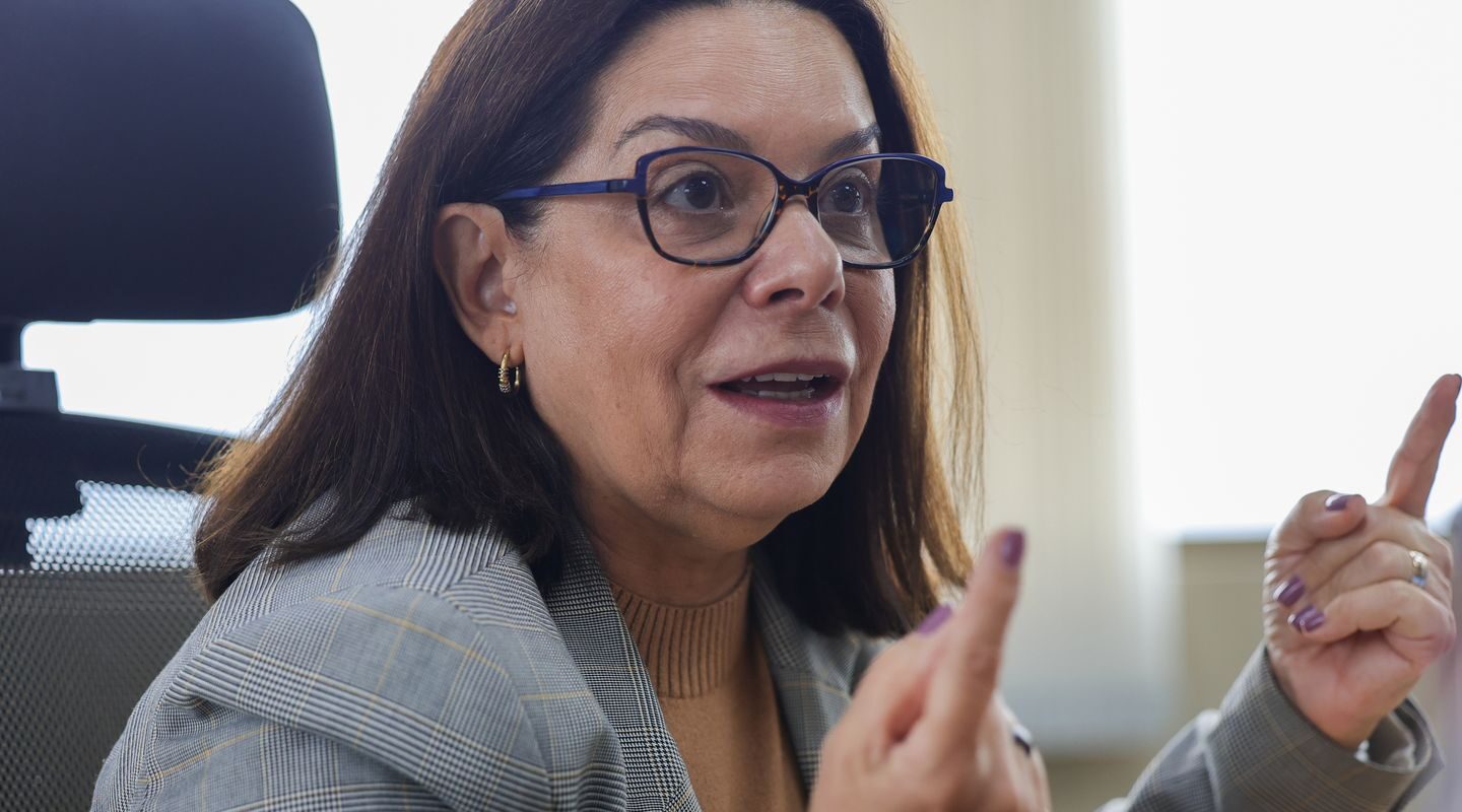 Denise Pires de Carvalho será vice-presidente de ciências da Unesco