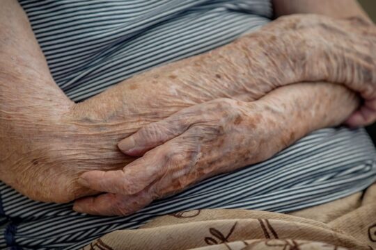Número de lares com idosos em insegurança alimentar cai em dois anos