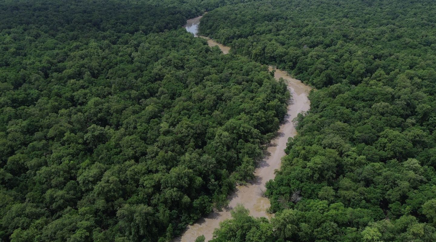 Desmatamento cai 41,8% na Amazônia e 23,8% no Cerrado em um ano